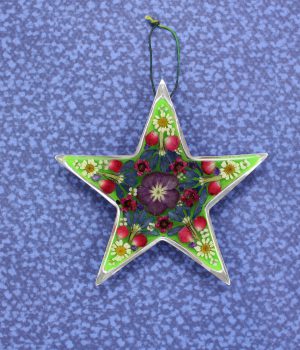 02-E Estrella de Belén Pewter