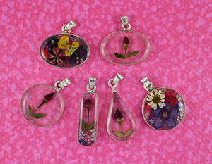 45. Dije Transparente